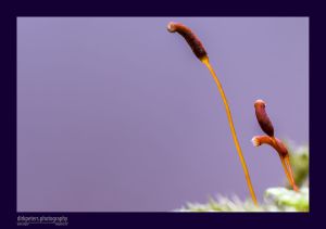 05.03.2015