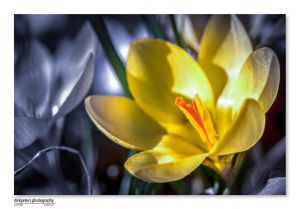08.03.2015