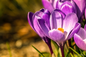 16.03.2015
