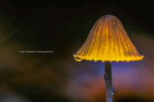 09.10.2015
