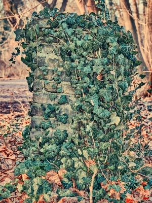 Tag 65
