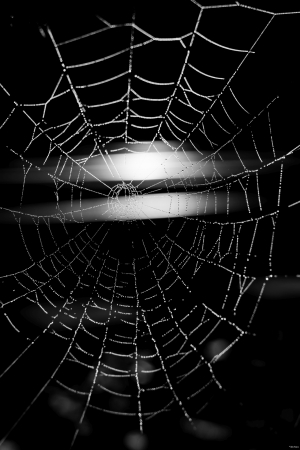 60-285