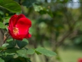 Freundschaftsinsel