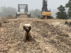 Hund 2021-09-29 08-23-37