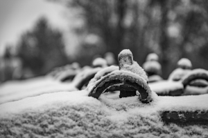 2026-01-27-09-57-24-NIKON-D750