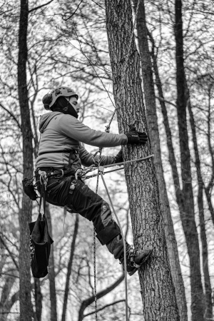 2026-02-04-09-37-32-GFX100S-II-2