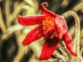 Nikon D7200 f/11 1/60s ISO-100 105mm