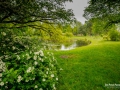 Branitzer Park
