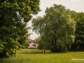 Branitzer Park