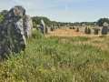 Carnac l’alignement du Ménec