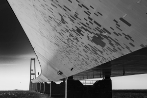 2025-12-28-15-37-17-NIKON-Z-8