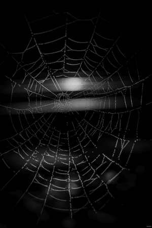 007-2025-10-02-09-15-55-NIKON-Z6_3