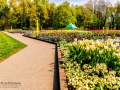 Bundesgartenschau 2015 Rathenow