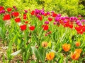 Bundesgartenschau 2015 Rathenow