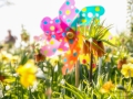 Bundesgartenschau 2015 Rathenow