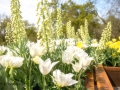 Bundesgartenschau 2015 Rathenow