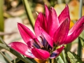 Bundesgartenschau 2015 Rathenow