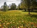 Bundesgartenschau 2015 Rathenow