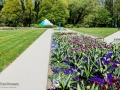 Bundesgartenschau 2015 Rathenow