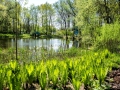 Bundesgartenschau 2015 Rathenow