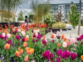 Bundesgartenschau 2015 Premnitz