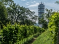 Bundesgartenschau 2015, Brandenburg