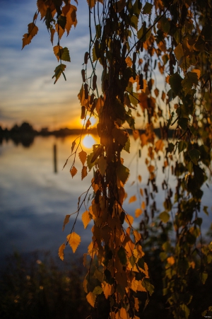 2026-10-05-17-39-00-NIKON-D700