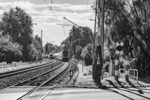 2026-10-07-10-58-50-NIKON-D700