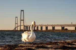 2025-12-28-15-13-12-NIKON-Z-8