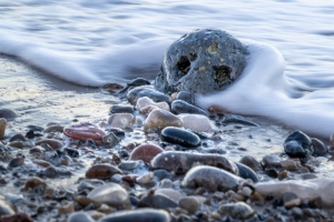 2025-12-29-11-11-45-NIKON-Z-8