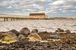 2025-12-29-14-29-55-NIKON-Z-8