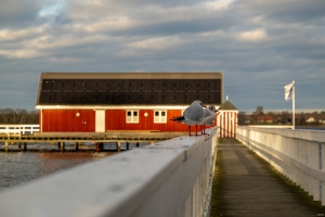 2025-12-29-14-33-22-NIKON-Z-8