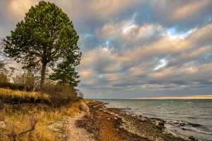 2025-12-29-15-33-00-NIKON-Z-8