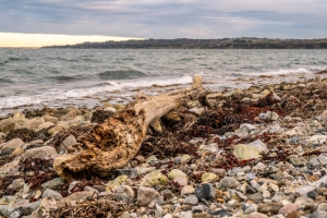 2025-12-29-15-43-30-NIKON-Z-8