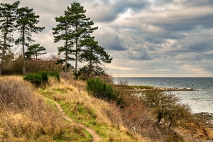 2025-12-29-15-56-50-NIKON-Z-8