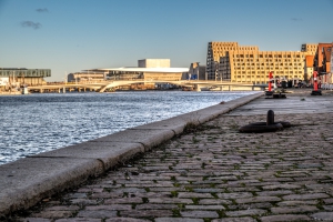 2025-12-30-11-58-27-NIKON-Z-8