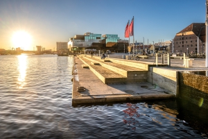 2025-12-30-14-41-21-NIKON-Z-8