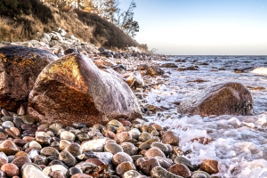 2025-12-31-10-49-58-NIKON-Z-8