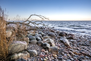 2025-12-31-10-58-48-NIKON-Z-8