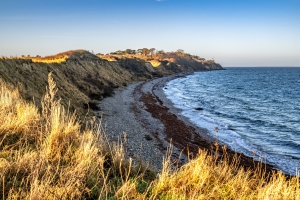 2025-12-31-11-03-56-NIKON-Z-8