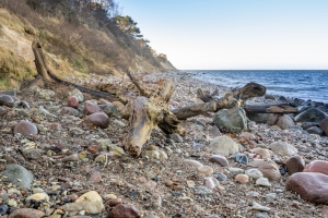 2025-12-31-11-20-27-NIKON-Z-8