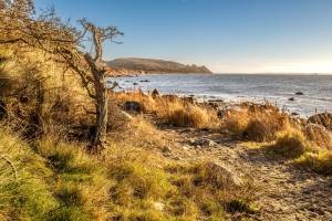 2025-12-31-11-53-40-NIKON-Z-8