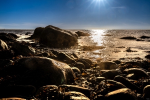 2025-12-31-11-54-37-NIKON-Z-8