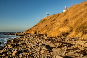 2025-12-31-11-55-01-NIKON-Z-8