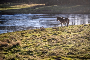 2025-12-31-12-27-08-NIKON-Z-8