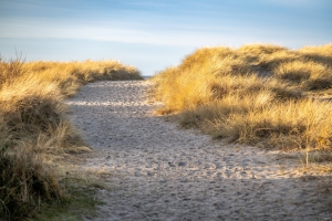 2025-12-31-14-15-21-NIKON-Z-8