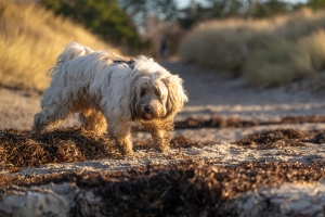 2025-12-31-14-17-48-NIKON-Z-8