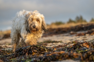 2025-12-31-14-28-01-NIKON-Z-8