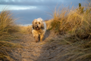 2025-12-31-14-48-47-NIKON-Z-8