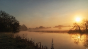 Morgennebel